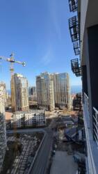 ����������� �������� � �� ���������, ������������� ������, ������ ���� 11