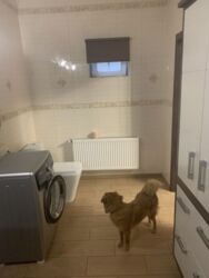 Дворівнева квартира у приватному секторі фото 2 Дворівнева квартира у приватному секторі фото 2