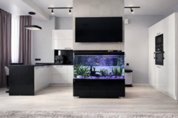 2 кімнатна квартира з ремонтом в ЖК Армійський фото 5 2 кімнатна квартира з ремонтом в ЖК Армійський фото 5