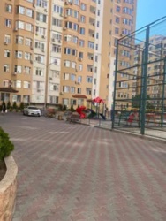 ���������� �������� � �� �����, ��������, ���� �������� ���� 12