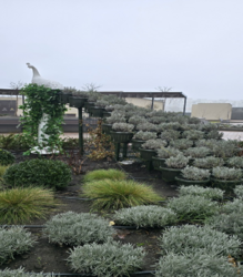 1-������� �������� �� �������� � �� 68 �������, ��� �� ������� �� � ��� ���� 2