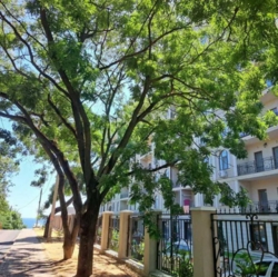 �������� �������� � ����� ���� � �� ������, ������� ����� ���� 9