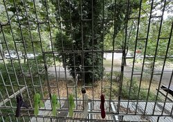 1-кімнатна квартира 31 м2 на 2 поверсі біля парку М. Твена, Черемушки