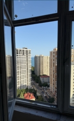    䳿, 42- ,         8