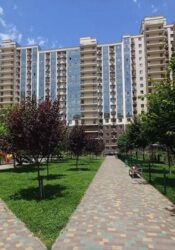 ����������� �������� � �� 5 ������� ���� 1