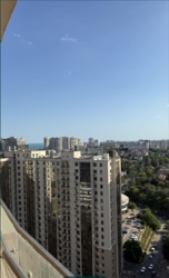    䳿, 42- ,         13