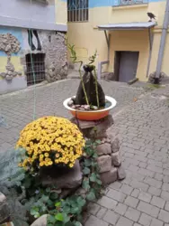 2 ������� �������� � �����. ��� �������� ���� 8