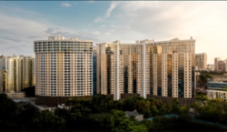    䳿, 42- ,         2