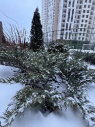 ����������� �������� � �������� �� �������� ���� 5