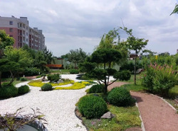 ������ 1 ������� �������� � �� ���� ��������. ���� 1