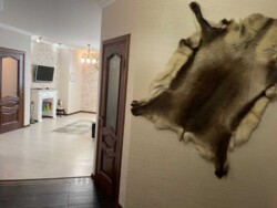 2 кімнатна квартира біля Парка Перемоги. фото 2 2 кімнатна квартира біля Парка Перемоги. фото 2