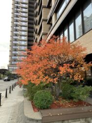  3    Obolon Residences  4