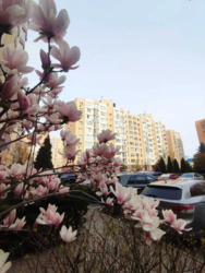 ��������� �������� ����-�������������, ������� ���� 10