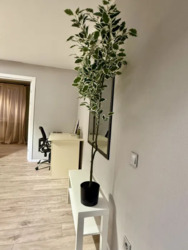 ��������� �������� �������, ������� ���� 5