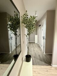 ��������� �������� �������, ������� ���� 4