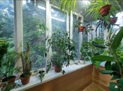 Продається 3к квартира на Печерску фото 3 Продається 3к квартира на Печерску фото 3