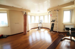 5-ти кімнатна Васкула Ореста (Пушиной) 23, пов. 23, 24 пентхаус фото 8 5-ти кімнатна Васкула Ореста (Пушиной) 23, пов. 23, 24 пентхаус фото 8