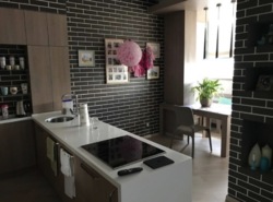 ������ ������� 1-������� ��������-���䳿, 55,1 �² | ������������ ����� ���� 1