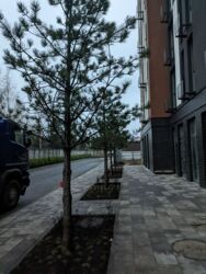  1    ATRIA CITY. TEREMKY  9