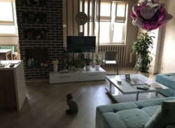 ������ ������� 1-������� ��������-���䳿, 55,1 �² | ������������ ����� ���� 3