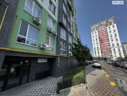  1  41.9 .   .   13/1,   3+  18