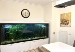 Продам квартиру в ЖК Ясная Поляна ( Французький бульвар ) фото 5 Продам квартиру в ЖК Ясная Поляна ( Французький бульвар ) фото 5