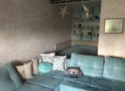 ������ ������� 1-������� ��������-���䳿, 55,1 �² | ������������ ����� ���� 8