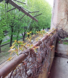 Квартира на весь поверх фото 7 Квартира на весь поверх фото 7