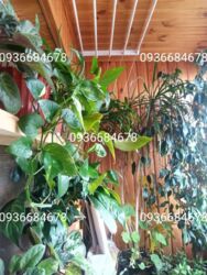 Продаж 1к квартири ст.м Іподром фото 10 Продаж 1к квартири ст.м Іподром фото 10