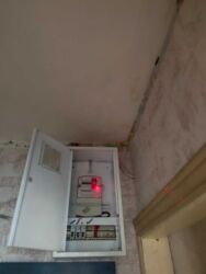 ������ 2-�� ³����� 23 ������������������ � ��������� ���� 11