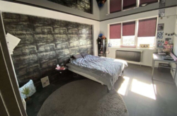  3  64.6 .   .  26, . 188  1