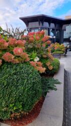 Продається квартира Оболонский просп., 26, Київ, Оболонський фото 14 Продається квартира Оболонский просп., 26, Київ, Оболонський фото 14