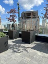 Продаж 3-кімнатної квартири ЖК TRIIINITY фото 4 Продаж 3-кімнатної квартири ЖК TRIIINITY фото 4