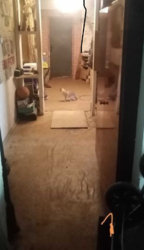 Квартира для родини фото 3 Квартира для родини фото 3