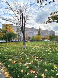 ��������� �������� ���, ����������� ���� 12