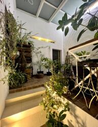 ��������� �������� ������ ���, 27 29, ���, ����������, �. ����������� ����� ���� 17