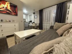 ��������� �������� �������, ������� ���� 1