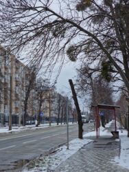 Продаж 1к квартири в ЖК Кришталеві Джерела фото 3 Продаж 1к квартири в ЖК Кришталеві Джерела фото 3