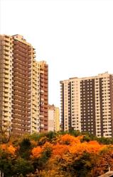 ��������� �������� ���������, 6, ���, ������������� ���� 30