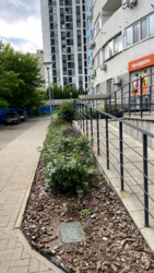 Продається квартира Київ, Дніпровський, Харьковское шоссе, 188 фото 17 Продається квартира Київ, Дніпровський, Харьковское шоссе, 188 фото 17