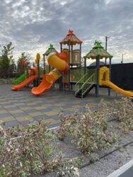 ��������� 1� �������� � �� ��������� ���� 14