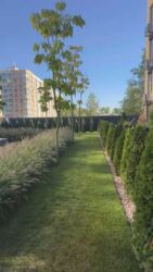 ������ 1 � �������� �� Sofi House, ���������� ��������� ���� 9