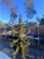 ��������� �������� ��� ���� 4