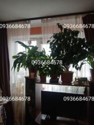 Продаж 1к квартири ст.м Іподром фото 9 Продаж 1к квартири ст.м Іподром фото 9