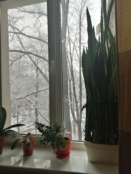 Продаж 3к квартири ст.м Політехнічний інститут фото 9 Продаж 3к квартири ст.м Політехнічний інститут фото 9