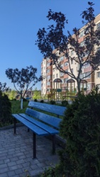 ��������� �������� �������������������� ����, 2�, �����������, �����������, �������������� ���� 25