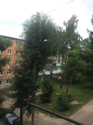 ��������� �������� �������������, �����������, �����������, ���-����� ���� 8