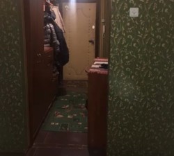 ������ 3� �������� 75 ��. �, ����������� ����� � ������ ������ � ����������� ���� 11