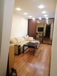 ��������� �������� ���������, �����������, �����������, ���-����� ���� 1