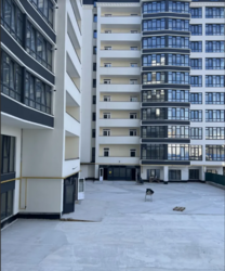 Продаж шикарної квартири в центрі Рауш фото 1 Продаж шикарної квартири в центрі Рауш фото 1